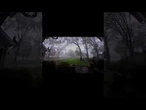 Una cámara de seguridad de Michigan graba cómo un tornado se lleva todos los árboles por delante
