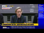 ​ Suivez en direct l'audition de l'influenceur Alex Hitchens à l'Assemblée nationale