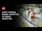 Brasil investiga 13 casos suspeitos de gripe aviária | CNN PRIME TIME