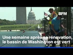 Washington: le bassin du Lincoln Memorial vire au vert une semaine après la fin de sa rénovation