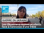 Cessez-le-feu annoncé par Poutine : les Ukrainiens restent prudents • FRANCE 24