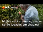 Pepe Mujica será cremado e cinzas serão levadas para chácara onde o ex-presidente vivia com a esposa