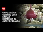 Gripe aviária: governo pede a países restrição limitada a 10 km do foco no RS | CNN 360º