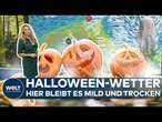 WETTER ZU HALLOWEEN: Typisch November - feuchtkalt und neblig! Hier bleibt es in Deutschland trocken