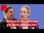 Für die AfD kehrt jetzt der Mann zurück, den Alice Weidel gar nicht gebrauchen kann