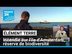 Incendie sur l'île d'Amsterdam: un trésor de biodiversité dévasté • FRANCE 24