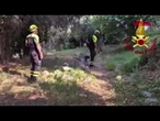 VENTIMIGLIA, bimbo ritrovato: così i soccorritori hanno stretto il cerchio grazie a un border collie