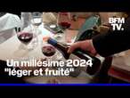 ROBIN DE BFM - Beaujolais nouveau 2024: une dégustation dès minuit dans cette institution parisienne