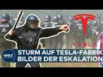 TESLA-FABRIK GRÜNHEIDE: Eskalation! Brutale Jagdszenen vor den Zäunen von Elon Musks Fabrik