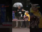Морози НАКРИЮТЬ УКРАЇНУ! Екстремально низькі температури у ЖОВТНІ! Бабиного літа не БУДЕ?