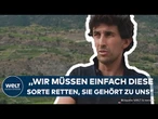 WEINBAU IN ITALIEN: Winzer schützen empfindliche Trauben vor Sonnenbrand mit innovativer Technik!