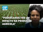Bloqueio do Estreito de Ormuz causaria impacto na produção agrícola do Brasil | O POVO News