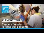 Les cancers du sein: la faute aux polluants • FRANCE 24