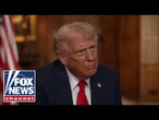 Trump reveals state of Putin-Zelenskyy relationship: ‘HORRIBLE’