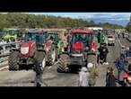 Agricultores espanhóis voltam a protestar | AFP