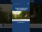 Toronto: Schlechte Luft durch Waldbrände