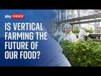 Could vertical farming be the future of our food?