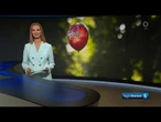 tagesthemen 22:15 Uhr, 30.04.2025