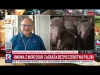 Tusk wywołuje kryzys na polskiej wsi. Umowa z Mercosur zagraża bezpieczeństwu Polski