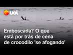 Crocodilo finge se afogar? Entenda o comportamento do animal e a cena que viralizou na Indonésia