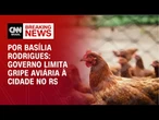 Análise: Governo limita gripe aviária à cidade no RS | LIVE CNN