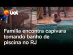 Capivara é flagrada tomando banho de piscina em casa de Niterói, no Rio de Janeiro; veja vídeo