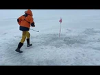 Niecodzienny turniej na biegunie północnym. Pole golfowe zamienione na lód