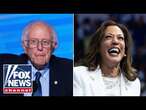 Bernie Sanders is absolutely 'destroying' Kamala Harris' campaign: Charlie Hurt