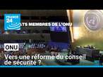 Demande de réforme du conseil de sécurité de l'ONU, jugé non représentatif • FRANCE 24