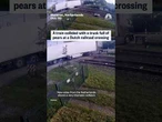 A train collided with truck full of pears at Dutch railroad crossing