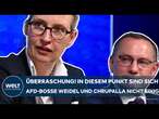 AFD: Überraschung! In einem Punkt sind sich die Bosse Alice Weidel und Tino Chrupalla nicht einig