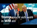 Trump soll FIFA-Präsident angerufen haben: Trotz roter Karte darf Balogun spielen