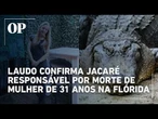 Jacaré de 4 metros que matou Brittany Clark é identificado por marcas de mordida