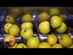 AGRO INFO | 25.06.2025 | TV Republika