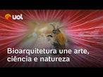 Bioarquitetura: novo tipo de design une arte, ciência e natureza | O Impensável