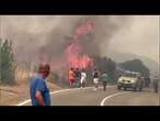 Incendi Oristano, Mariafrancesca Serra (Coldiretti): Oggi Sardegna piange, in fumo nostri sacrifici