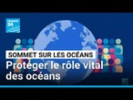 Les océans et leur un rôle vital menacés • FRANCE 24