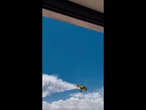 Video shows a helicopter crashing into people in China
