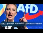 MEINUNGSFREIHEIT: Doppelmoral bei Politikerbeleidigungen? Wie AfD-Chefin Weidel den §188 StGB nutzt