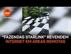 "Fazendas de Starlink" revendem internet da operadora em áreas remotas