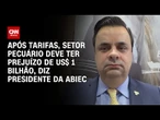 Presidente da Abiec: Após tarifas, setor pecuário deve ter prejuízo de US$ 1 bilhão | CNN PRIME TIME