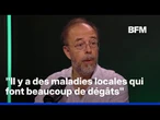 Hantavirus, Covid, Ebola: avec la crise du climat, faut-il craindre de nouvelles épidémies?