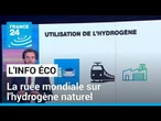 Hydrogène naturel : la ruée vers l'or blanc • FRANCE 24