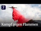 Waldbrand wütet in Kalifornien