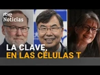 NOBEL MEDICINA 2025: Los DESCUBRIDORES de las CÉLULAS que controlan al SISTEMA INMUNITARIO | RTVE