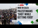 Dozens of Palestinians 'shot dead while getting food' in Gaza | Israel-Hamas war