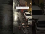 Ragazzi "nuotano" in strada durante il temporale a Bologna