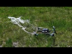 Du prédateur à la proie : ce nouveau drone intercepte les drones ennemis