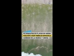 PETROGLIFOS de hace medio milenio reaparecen en playa de HAWÁI #shorts