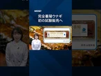 【完全養殖ウナギ】世界で初めて食卓に　1尾5000円で【クイック解説】#shorts